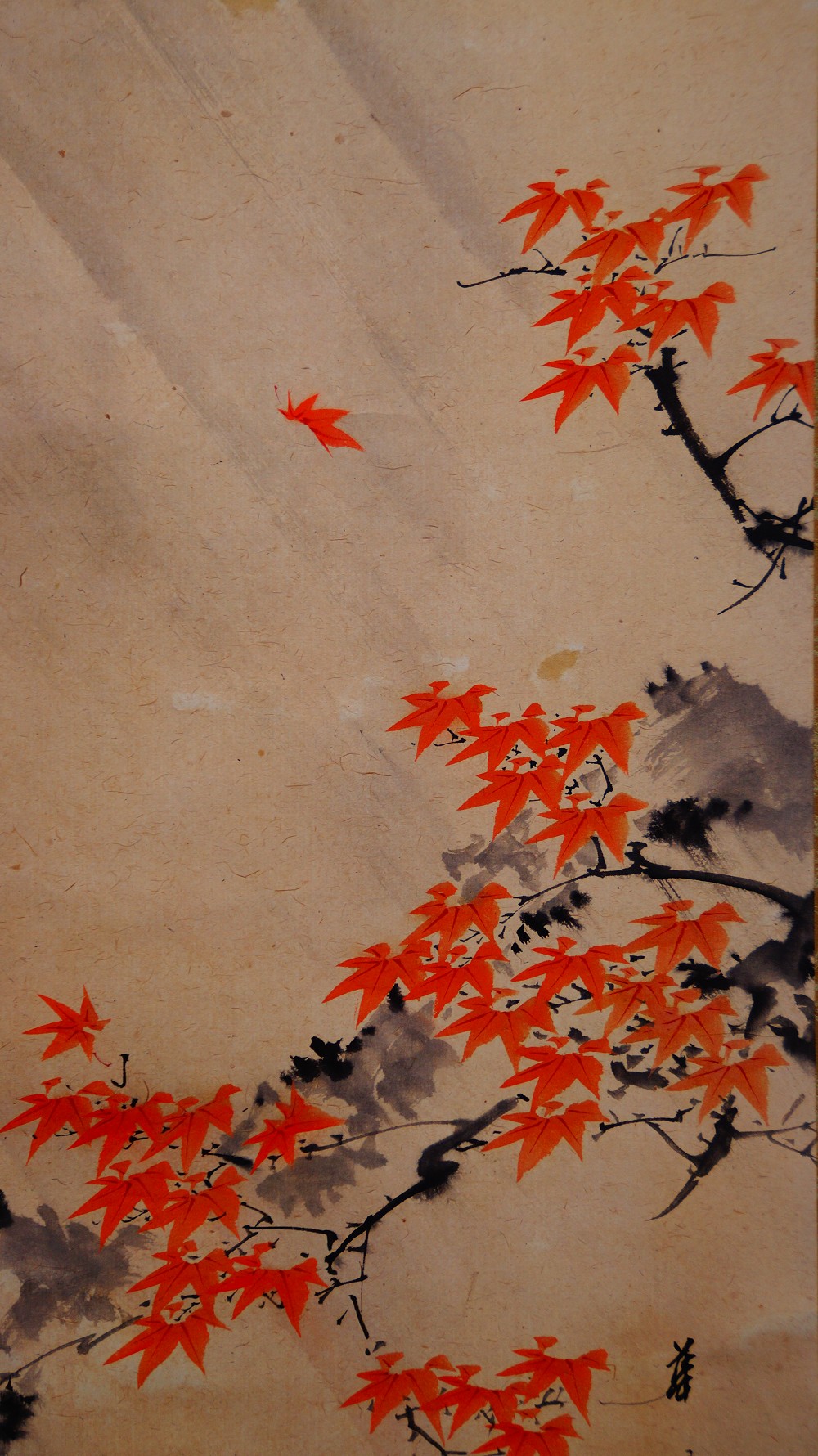 Autumn Flight in Morning Light Hanging Scroll by Manjo Kajo Maple Motif Close-Up