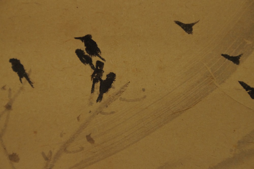 Close-up of several crows on a bare branch