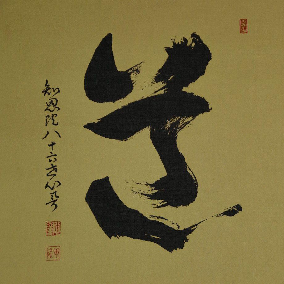 Zen Kalligrafie Der Weg von Yasutaka Nakamura Motiv Nahaufnahme Vorschau