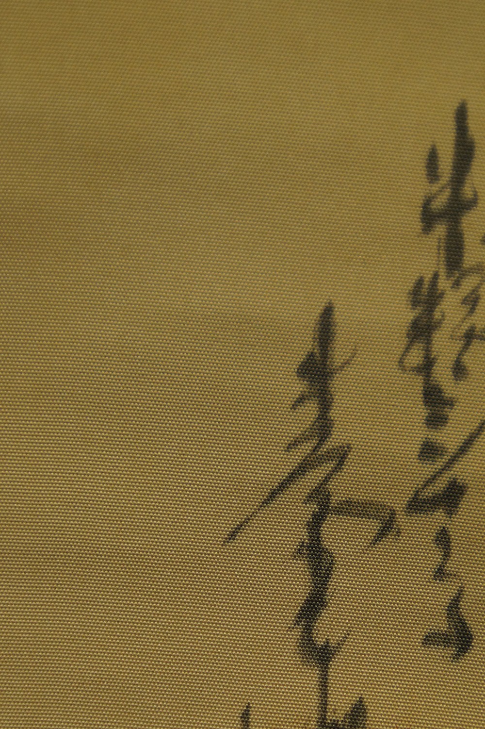 Bamboo Bamboo Motif Close-Up 5