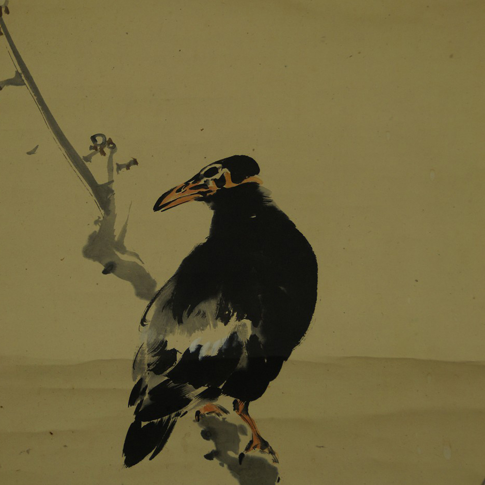 Crow on plum branch close-up preview