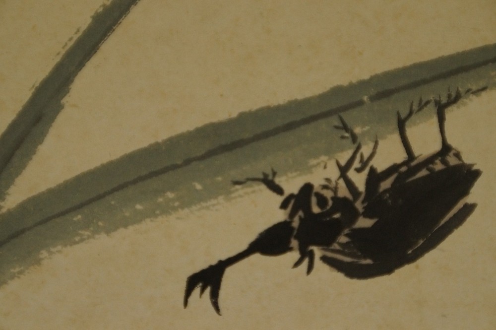 Extreme close-up of the rhinoceros beetle with legs extended