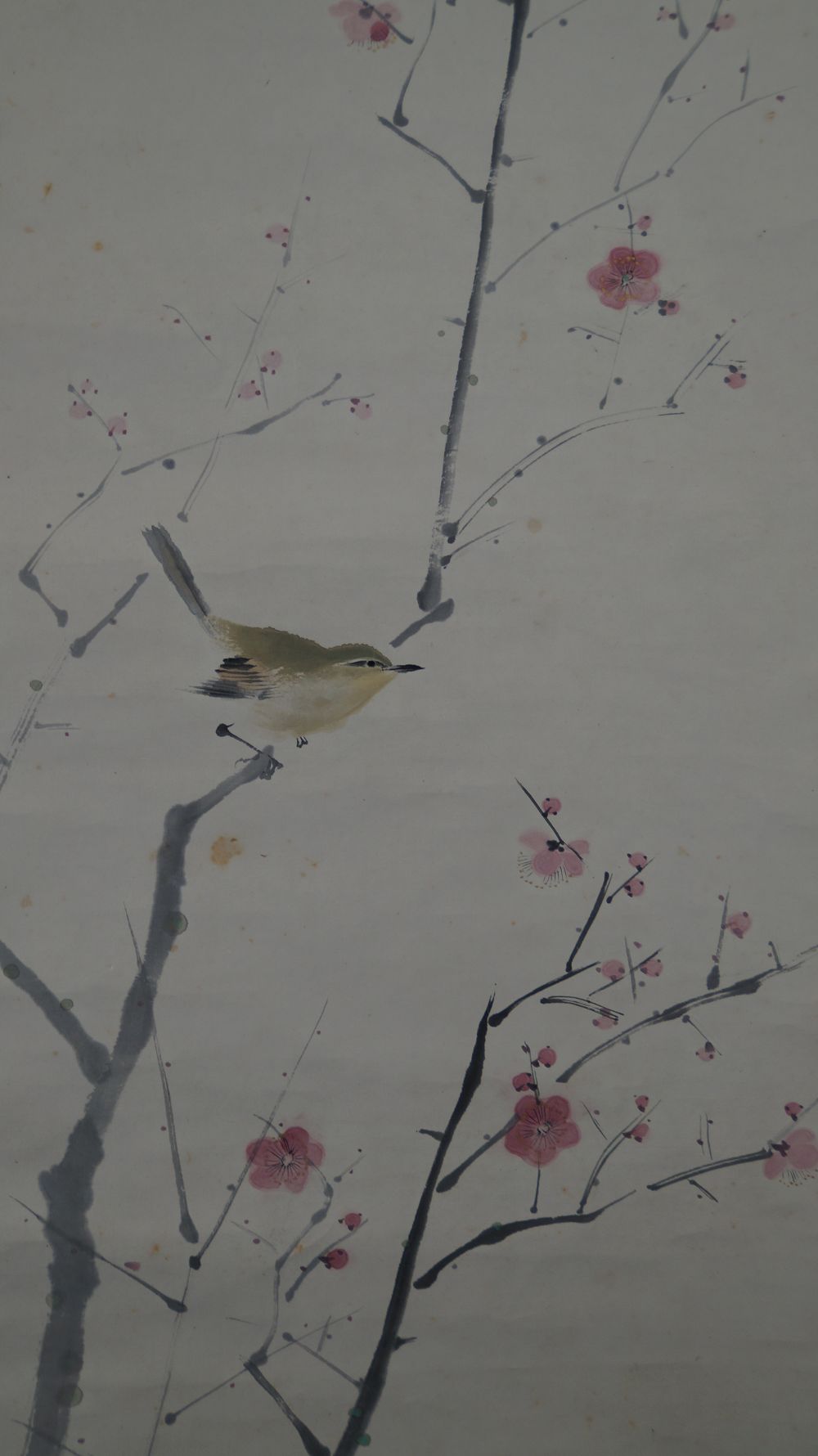 Further Close-Up of the Nightingale Perched on the Plum Branch among the Pink Blossoms in the Hanging Scroll Nightingale on Blossoming Plum Branch