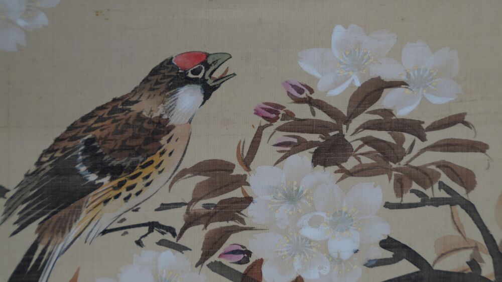 Extreme close-up of the bird's head among cherry blossoms in the hanging scroll Singing Bird in a Cherry Blossom Branch