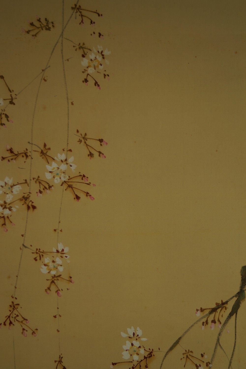 Two Sparrows on the Sakura Branch Sakura Motif Close-Up 1