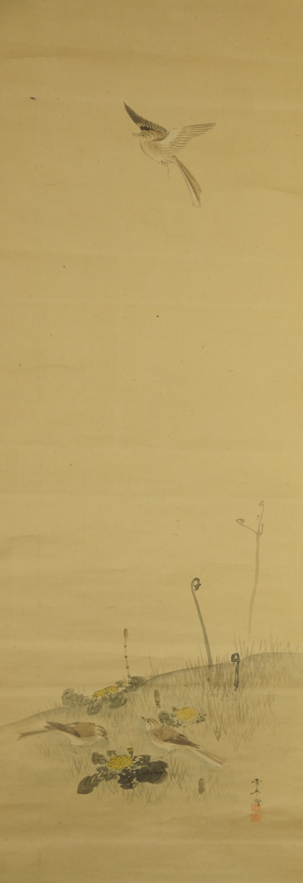 Full motif of the birds in the meadow without mounting