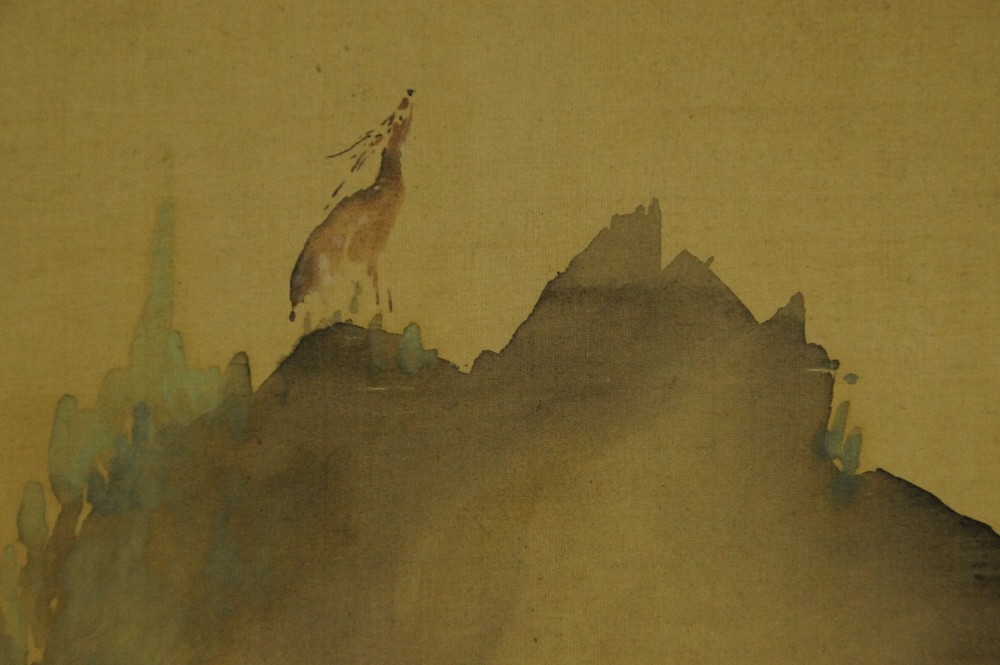 Close-up of the solitary deer raising its head into the stillness of the sky