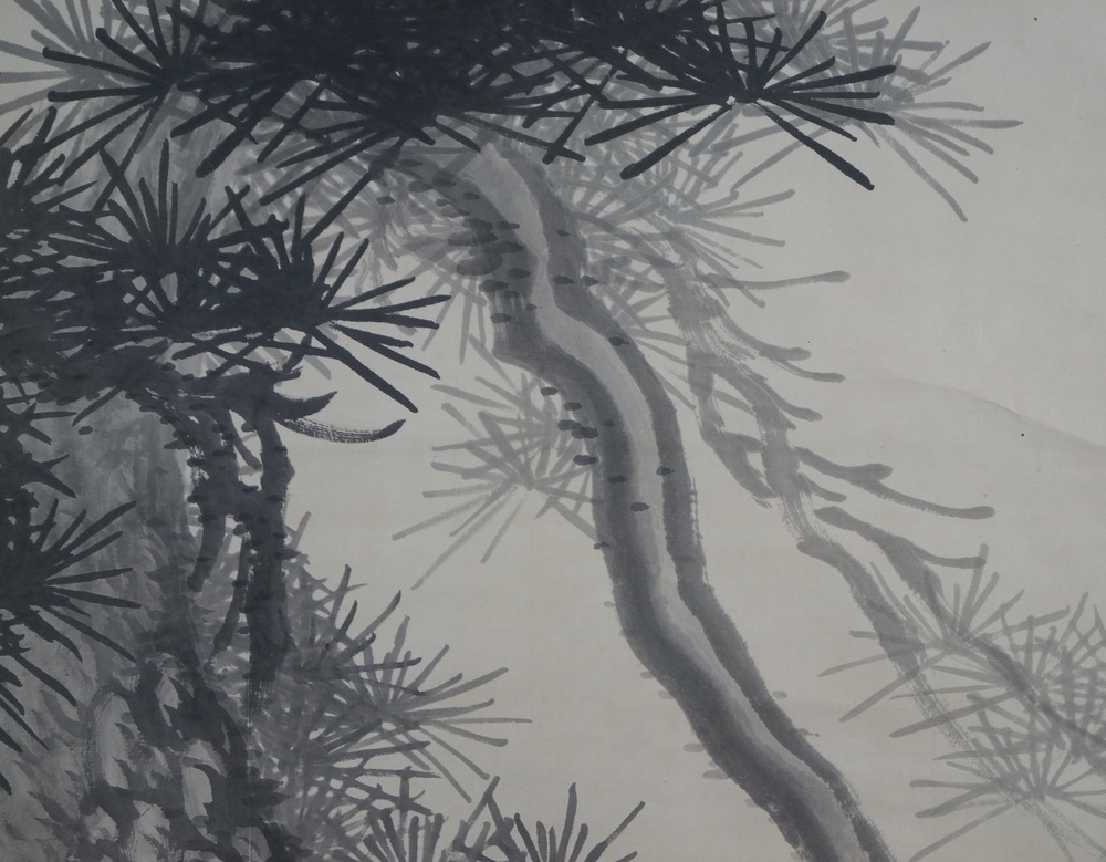 The Old Pine Pine Close-Up