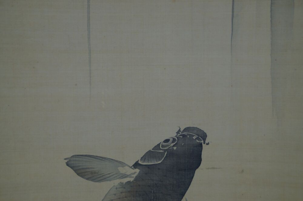 Further Close-Up of the Head and Fin of the Koi in the Hanging Scroll Koi at Waterfall