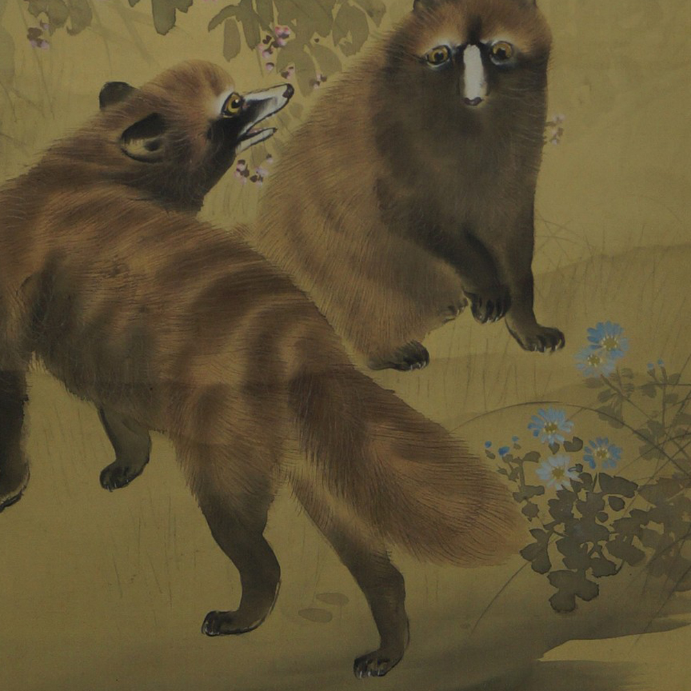 Zwei Waschbären und Vollmond - Japanisches Rollbild (Kakejiku, Kakemono)