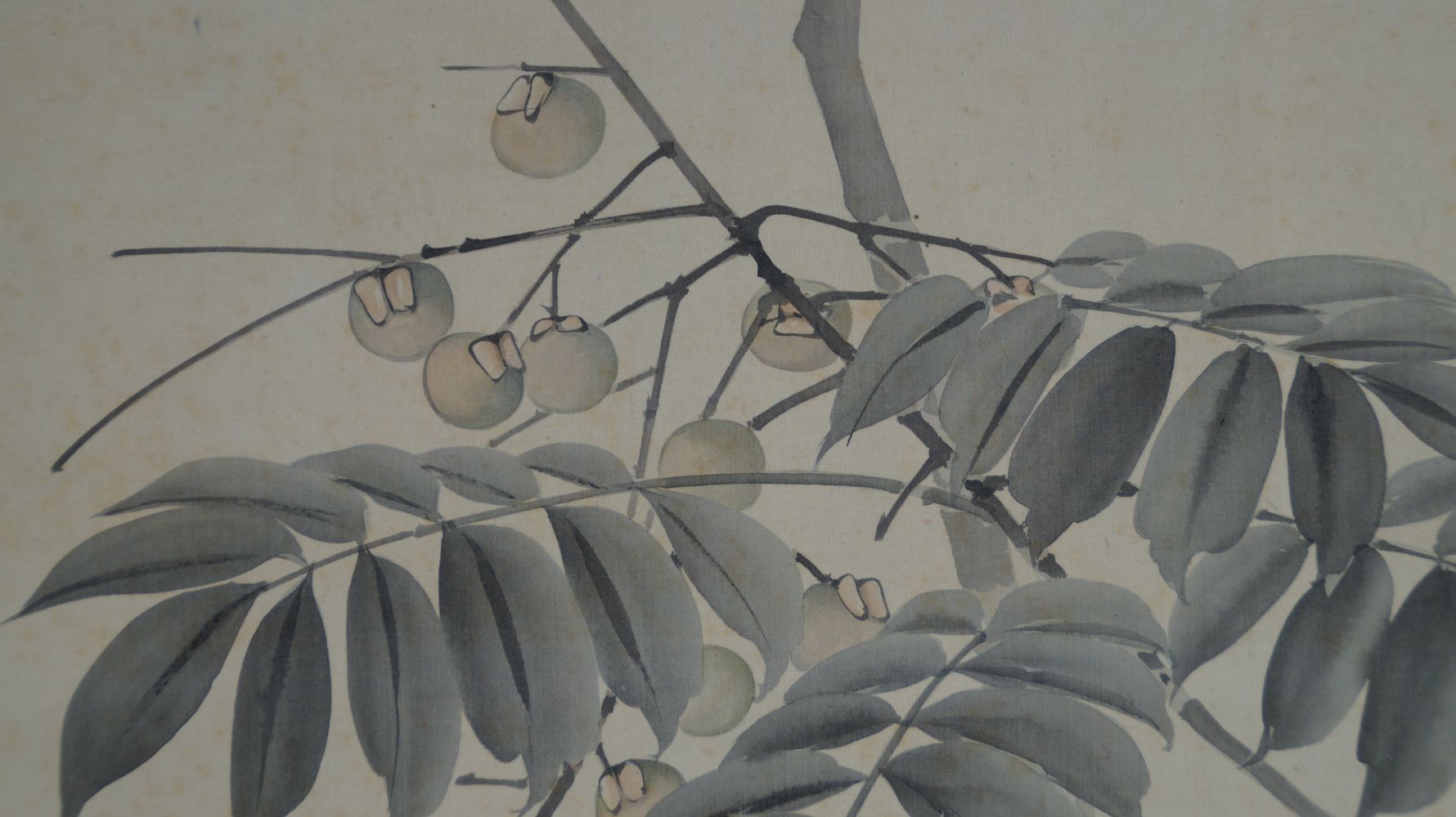 Close-Up of the Hanging Fruit of the Fruit Tree in the Kakemono Bird on Fruit Tree