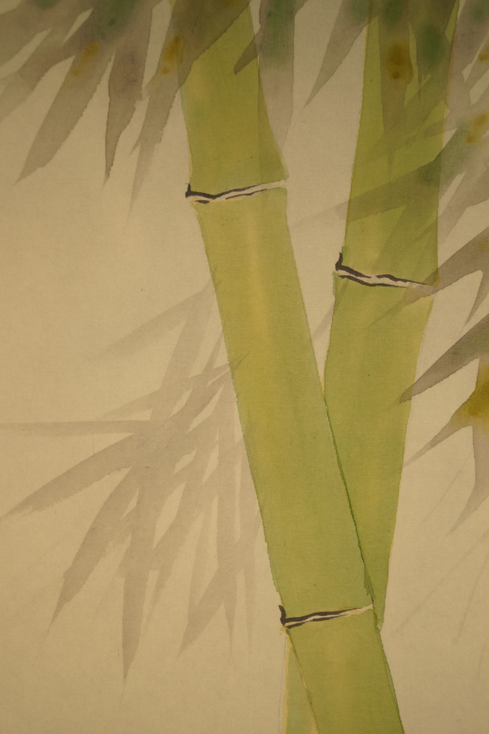 Sparrows at Bamboo Shrub Bamboo Close-Up