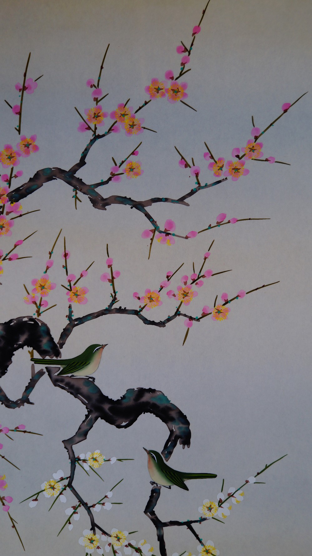 Second full view of the two white-eyes on the plum branch in the hanging scroll Heralds of Spring by Koizumi Kogetsu without mounting