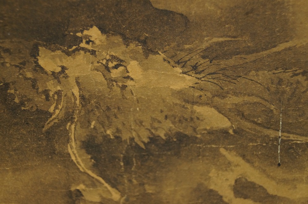 Brushwork close-up mane and clouds