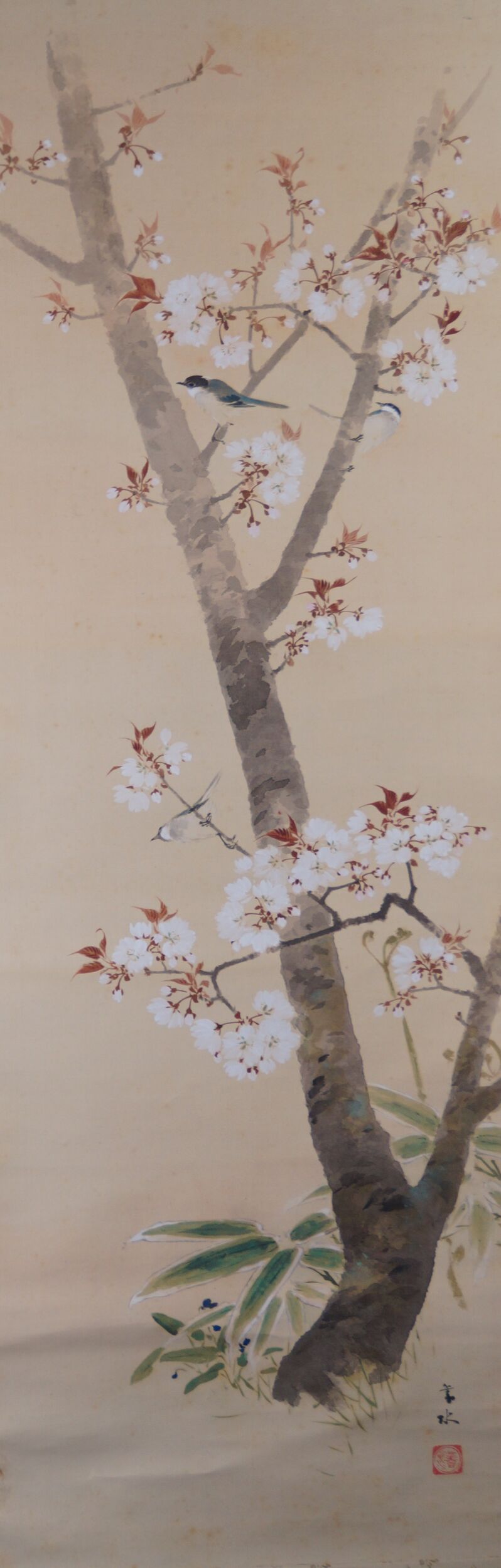 Full motif of the kakemono Spring at the Old Cherry Blossom with old cherry tree, three birds and bamboo, without mounting