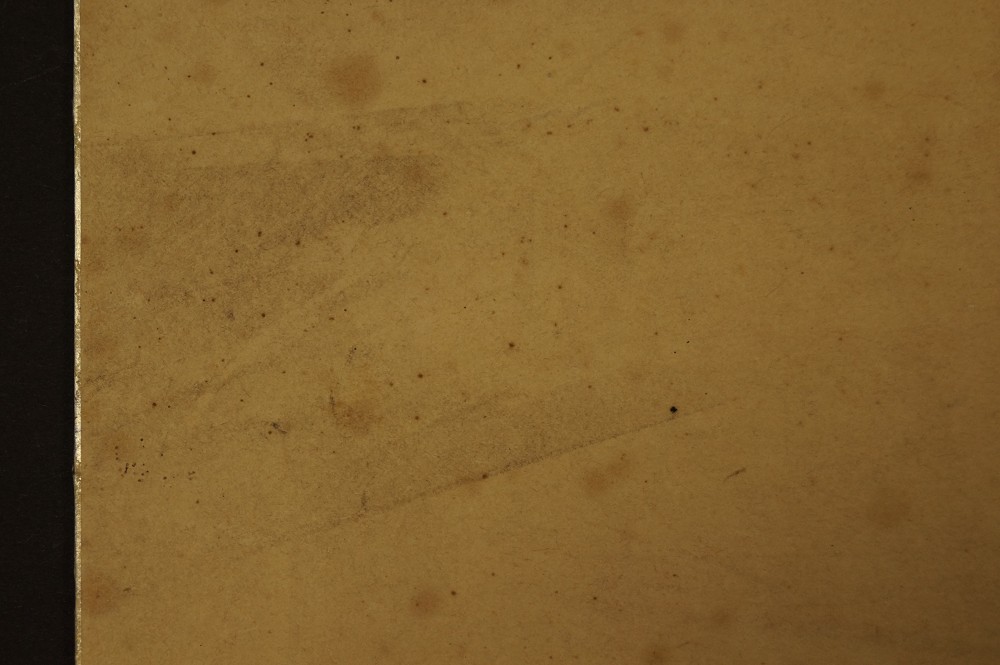 Shikishi Rose Papier Nahaufnahme