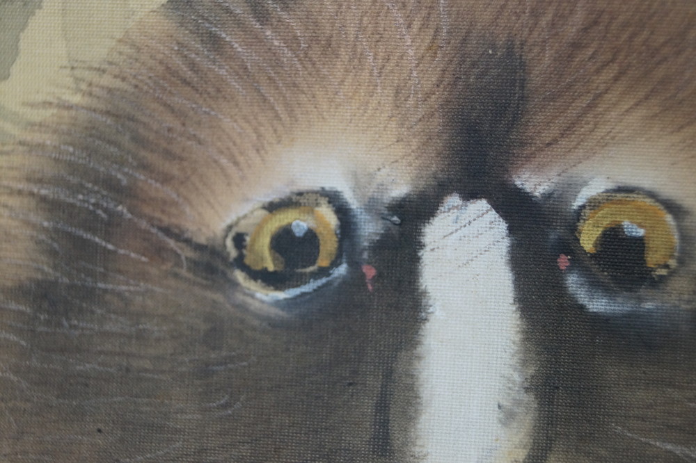 Two Raccoon Dogs and Full Moon Raccoon Dogs Close-Up 2