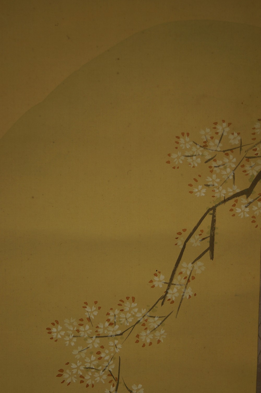 Beauty by Shuuko Nakayama Cherry Blossom Motif Close-up 1