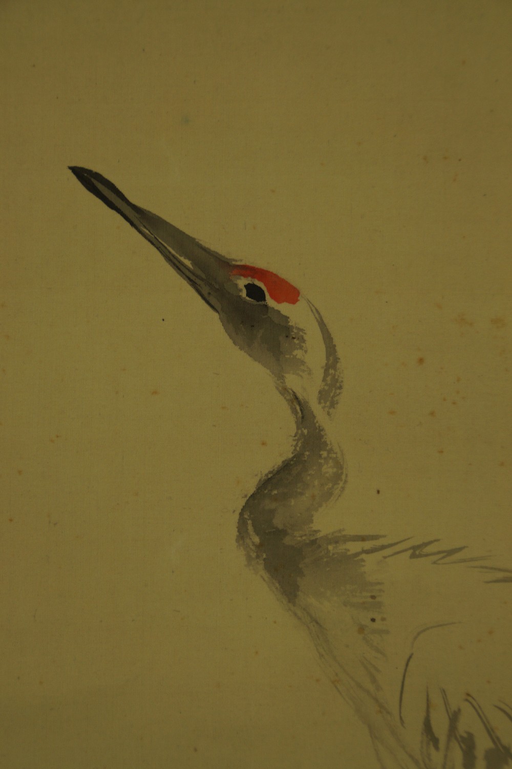 Close-up of the crane's head with characteristic red crown against a light background