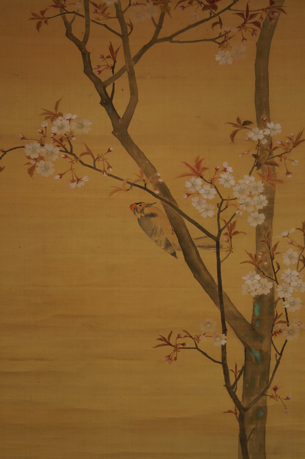 Woodpecker on Cherry Tree Bird Motif Close-Up 1