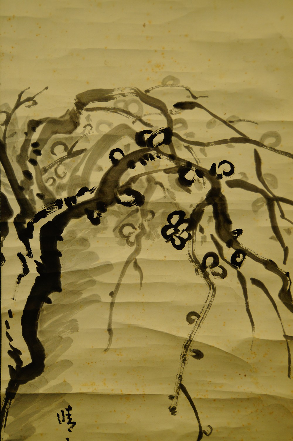 Close-up of the gnarled plum branch with blossom buds and signature
