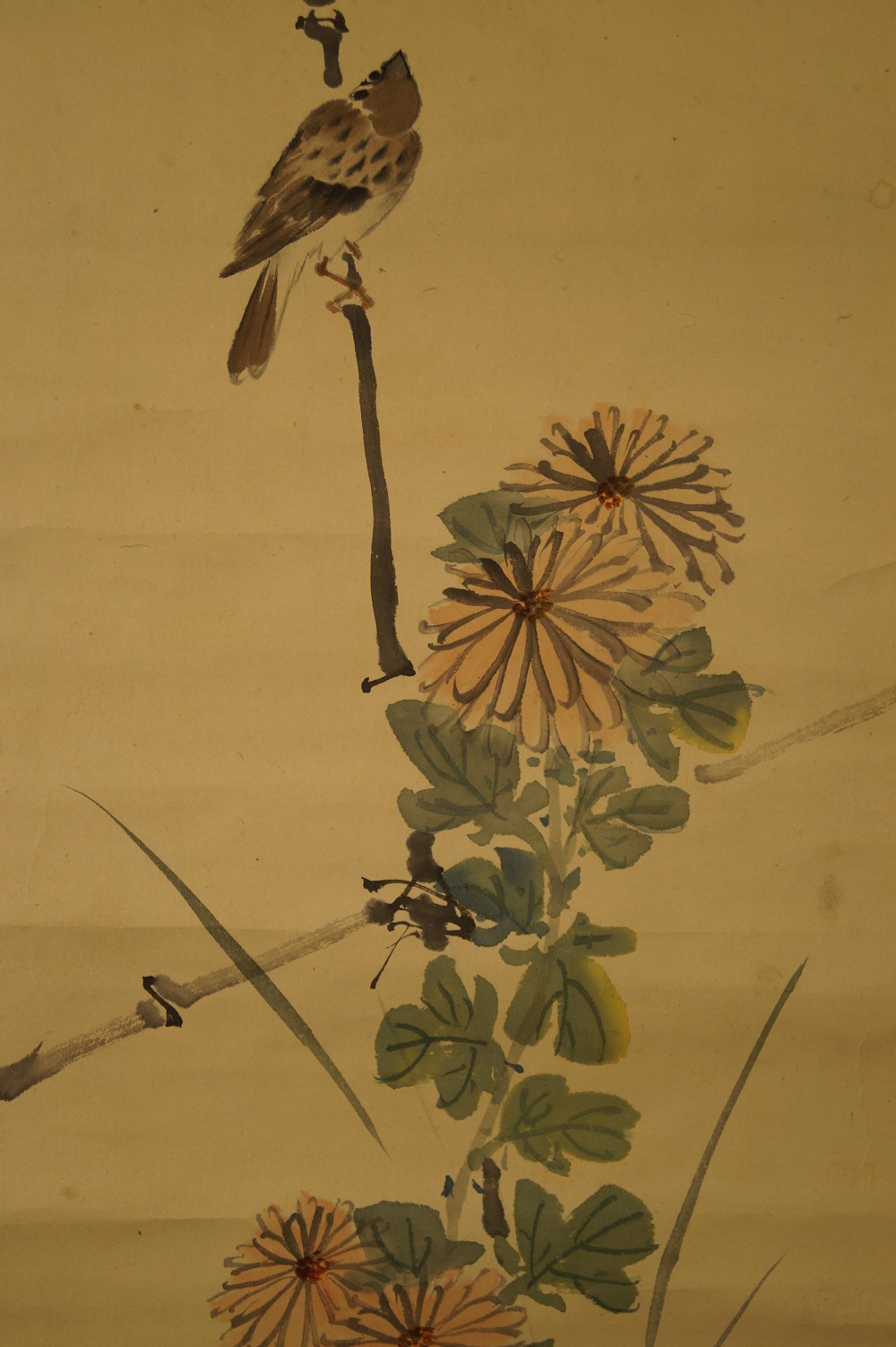 Spatz Kakemono Chrysanthemen Motiv Nahaufnahme 1