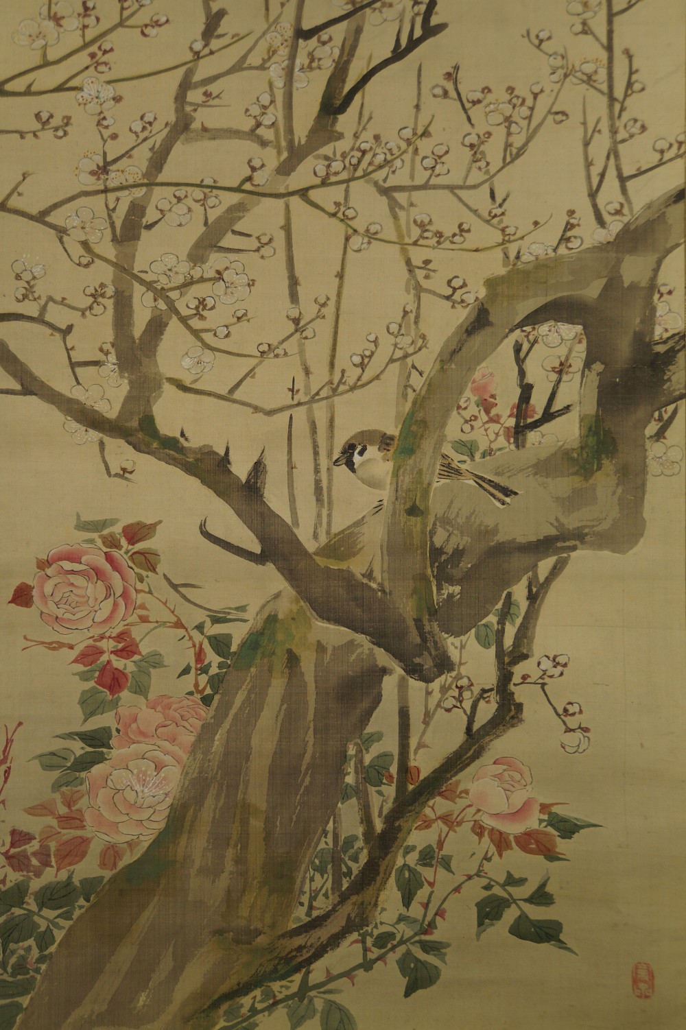 Sparrow on a Cherry Blossom Branch by Mori Kansai Sparrow Motif Close-Up