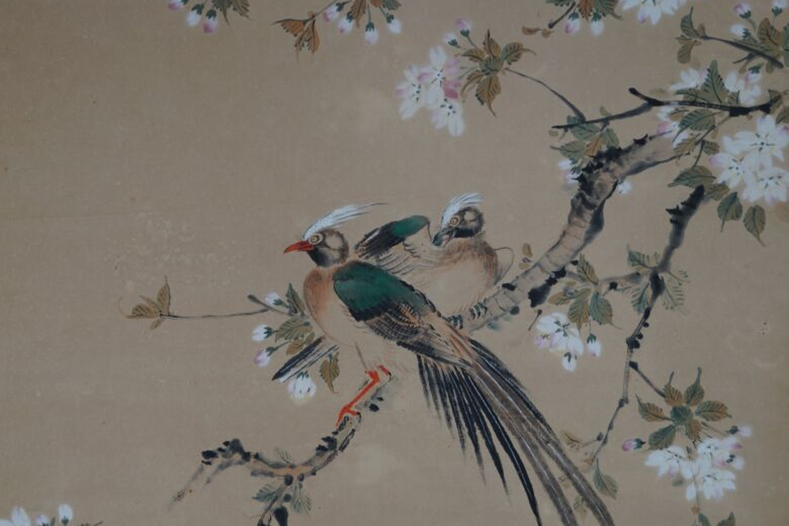 Close-up of a hand-painted kakemono: two long-tailed birds on a blossoming cherry branch