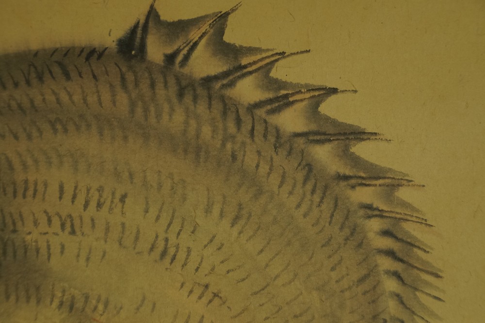 Sea Bream by Ichigaku Hatano Fish Motif Close-Up 1