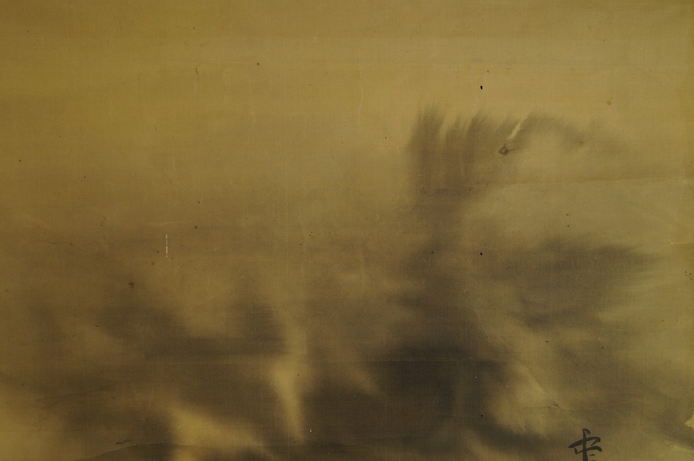 Falcon hunting cloud motif close-up