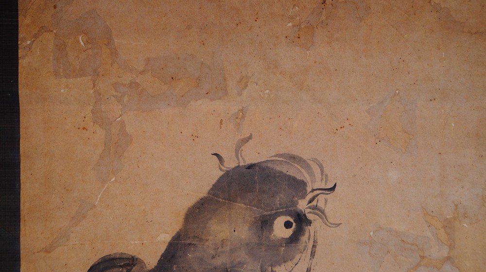 Close-up of the carp's head with barbels on the aged paper