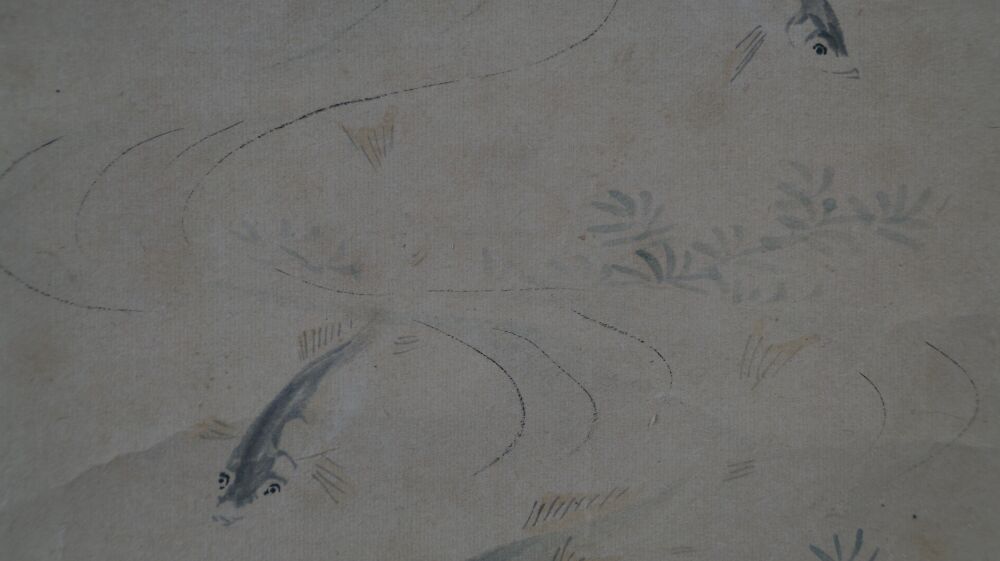 Weitere Nahaufnahme der Fische mit Wasserpflanzen im Kakemono Schwaerme im klaren Wasser