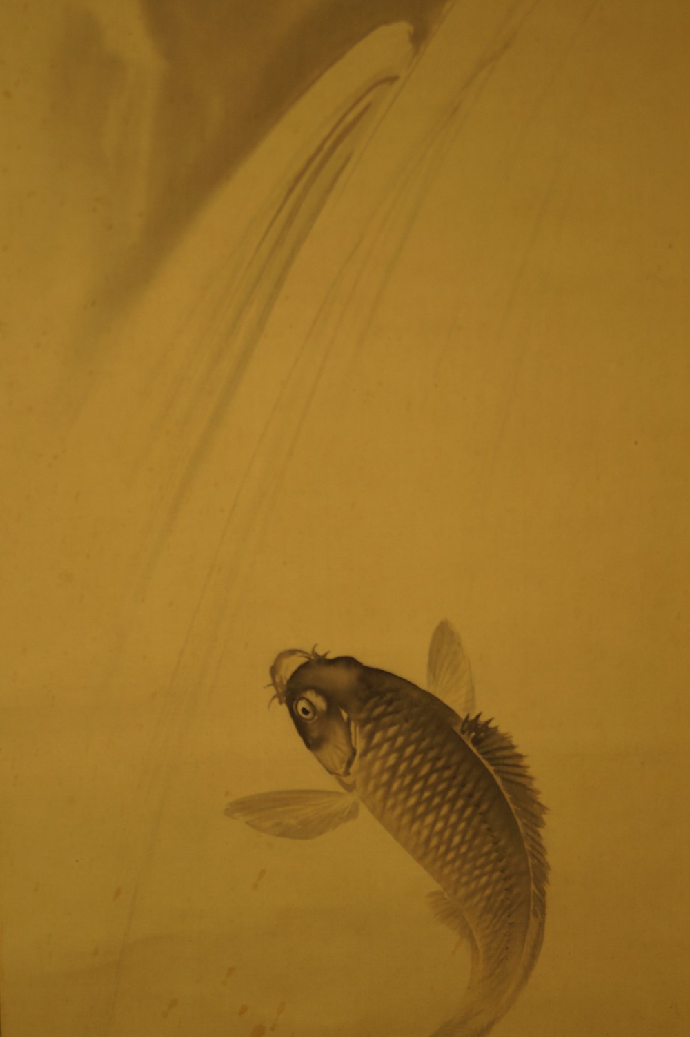 Two Koi Koi Close-Up 1