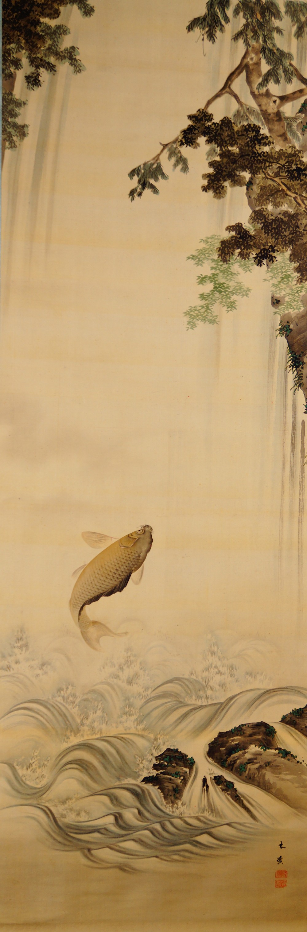 Leaping Carp Beneath Pine Branches and a Waterfall in the Kakemono by Takekawa Tomohiro with Artist's Signature and Red Seal
