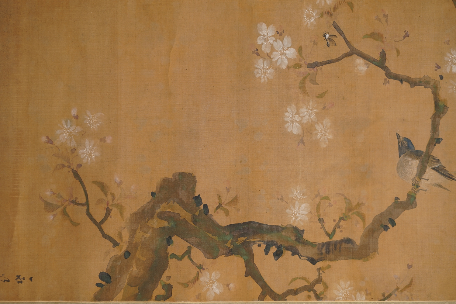Further View of the Songbird and the Cherry Blossoms in the Kakemono Songbird on Blooming Cherry Branch, without Mounting