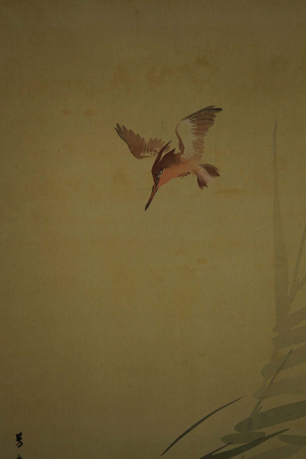 Kingfisher in Steep Dive Complete Figure Motif Close-Up 2