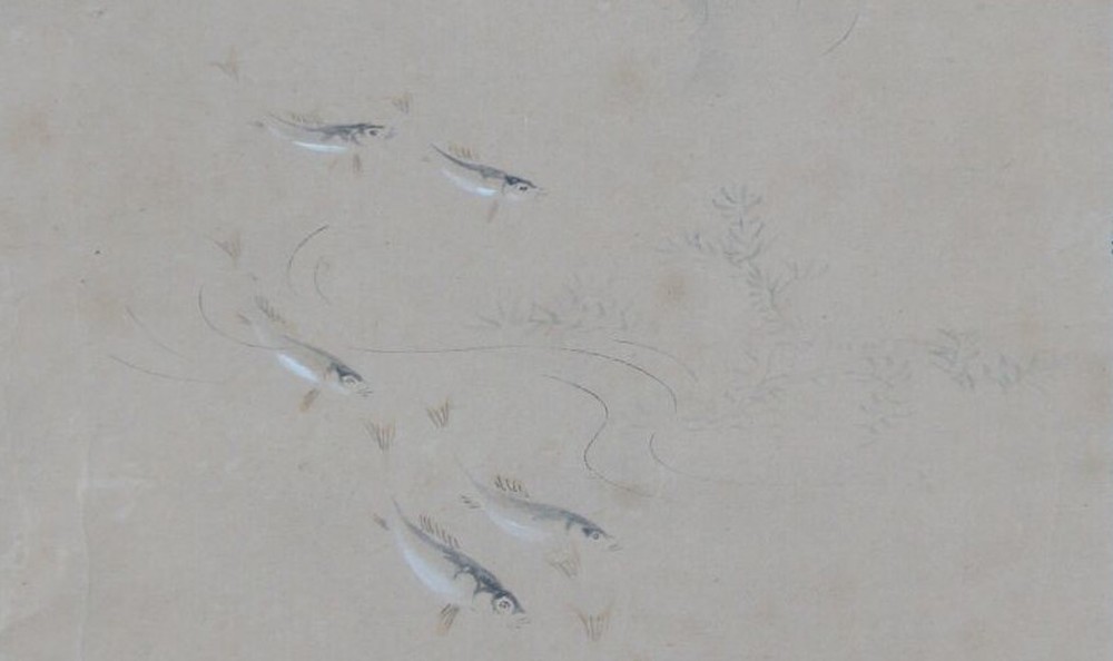 Kakemono von Kanō Norinobu: Fischschwarm im klaren Wasser, in Tusche und Farbe.