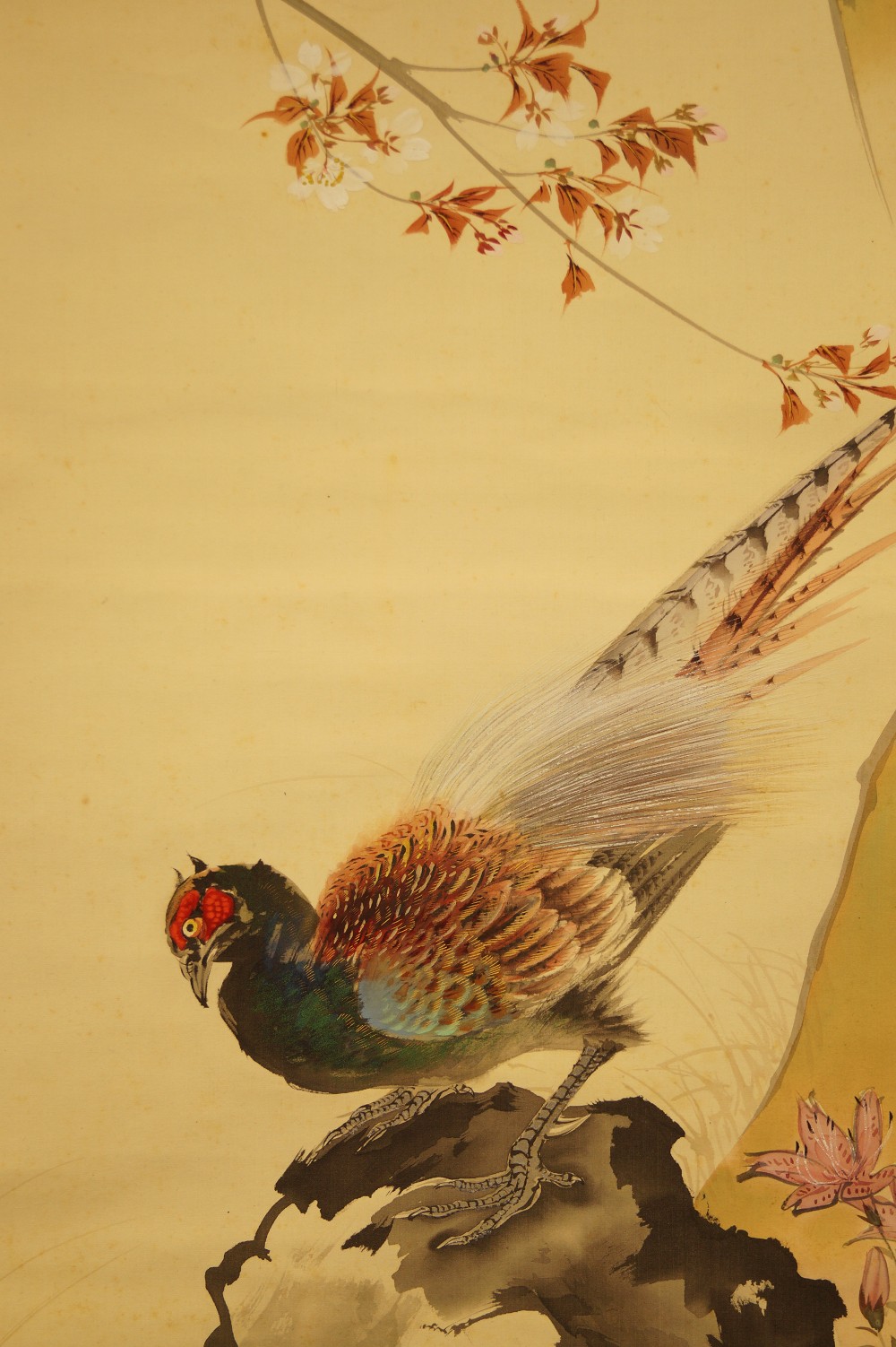 Pheasants at the cherry tree by Mano Kamura pheasant close-up 1