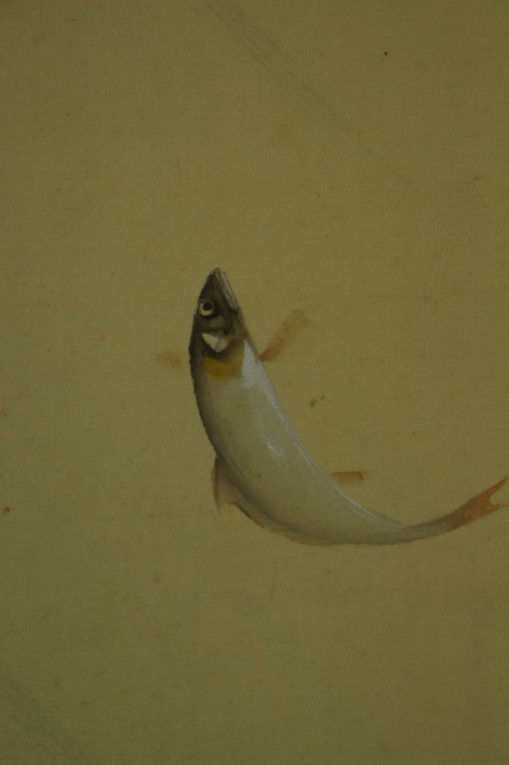 Leaping Fish at Waterfall by Taizan Tatewaki Fish Motif Close-Up 2