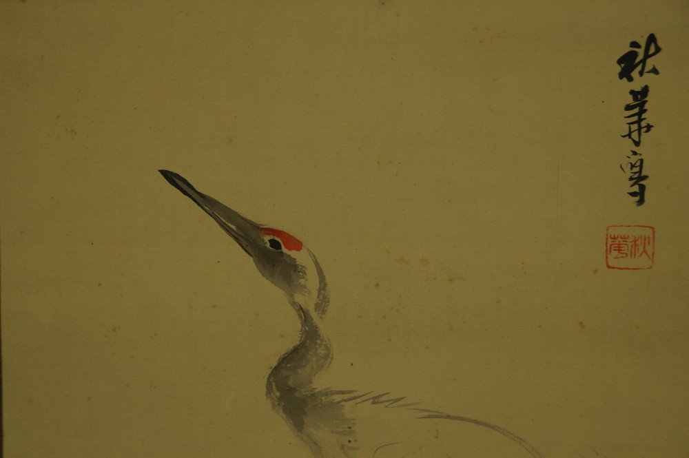 Close-up of the crane's head with red crown and elegantly curved neck