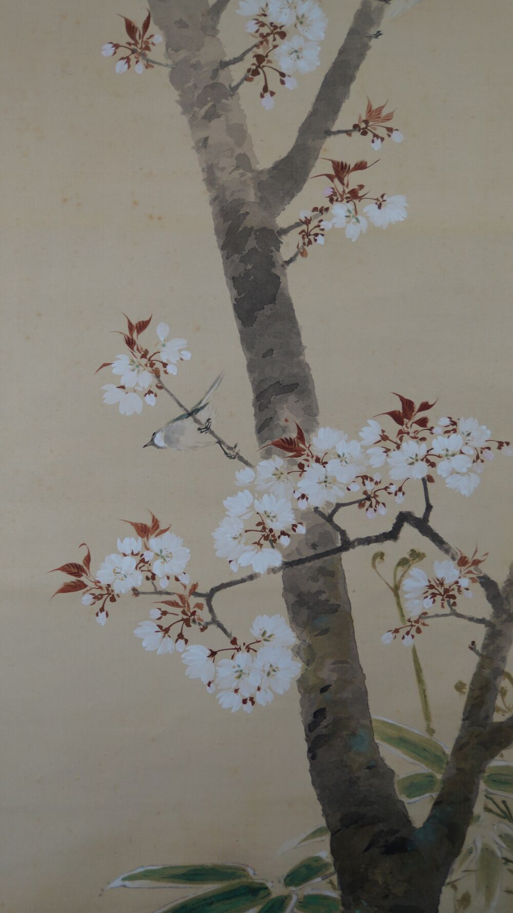 Close-up of a single bird among the cherry blossom branches in the kakemono Spring at the Old Cherry Blossom
