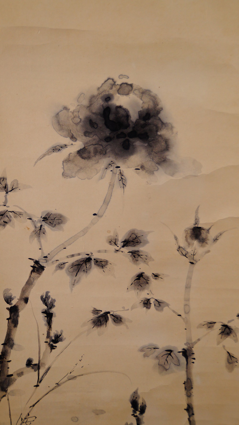 Full Motif Without Mounting with Peony, Leaves and Signature by Tanaka Kakashi