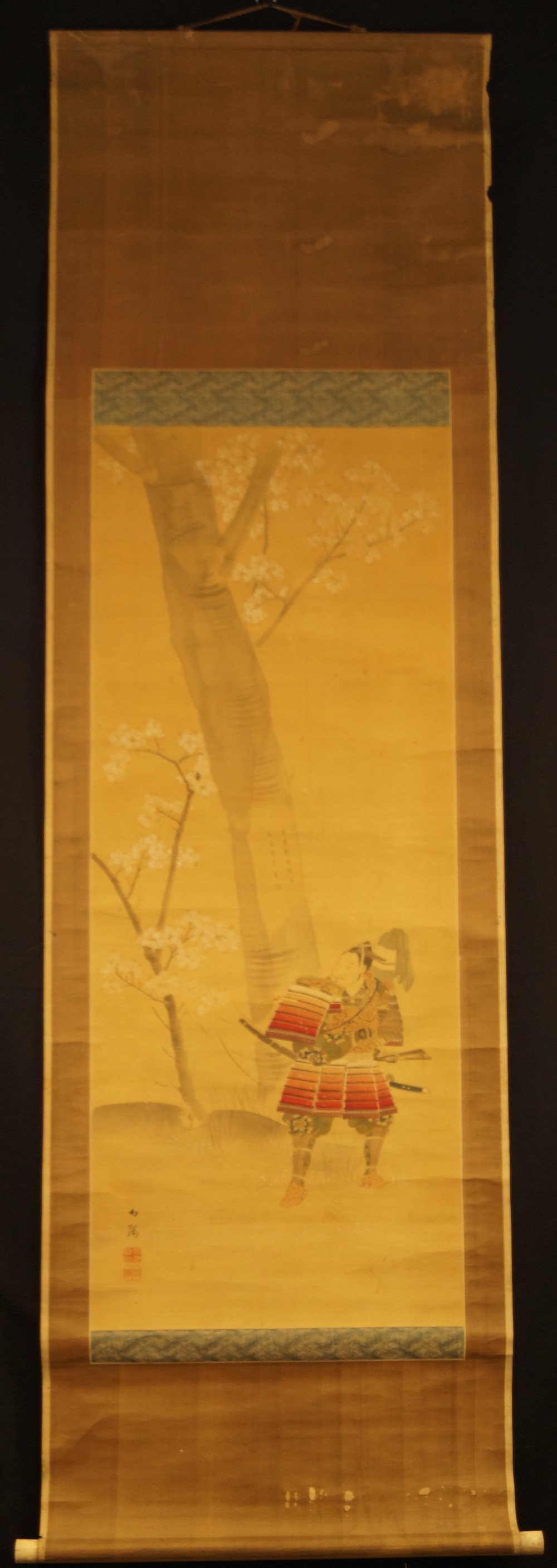 Samurai warrior under the cherry tree full view of hanging scroll