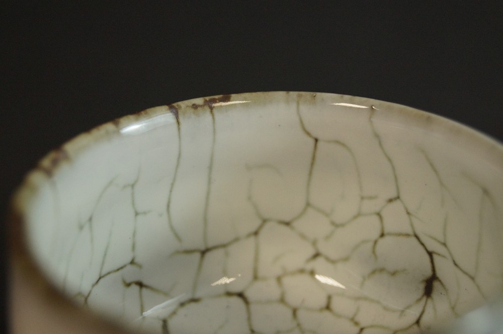 Satsuma Guinomi Glaze Close-Up