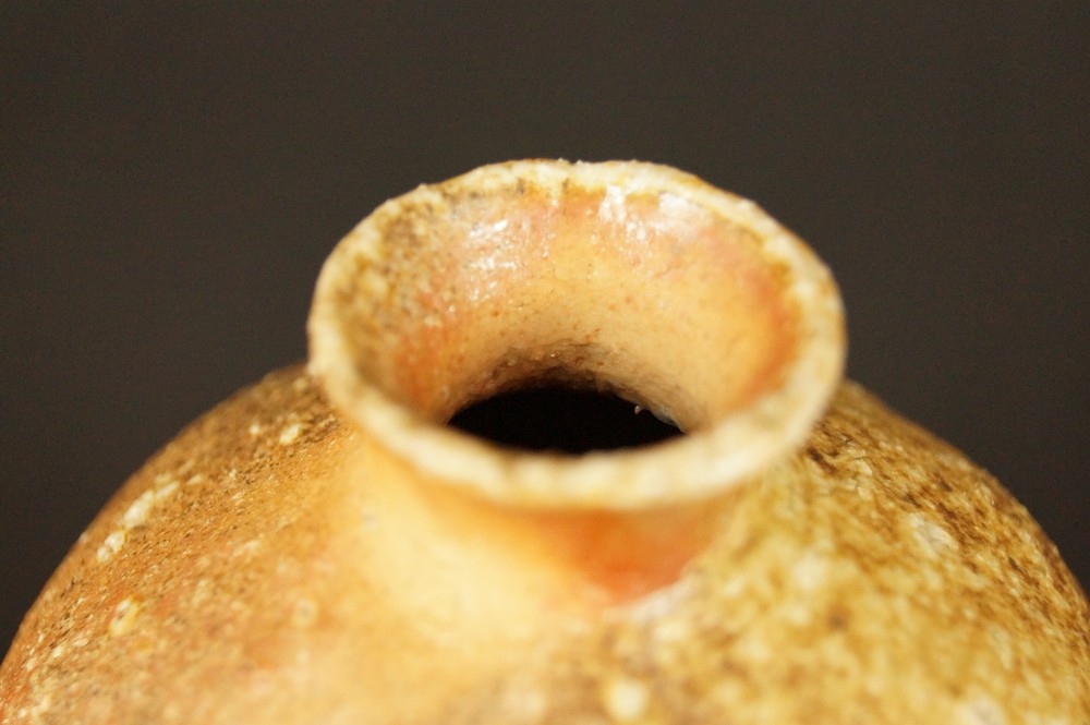 Spout and Neck of the Sake Bottle Neck View Close-Up