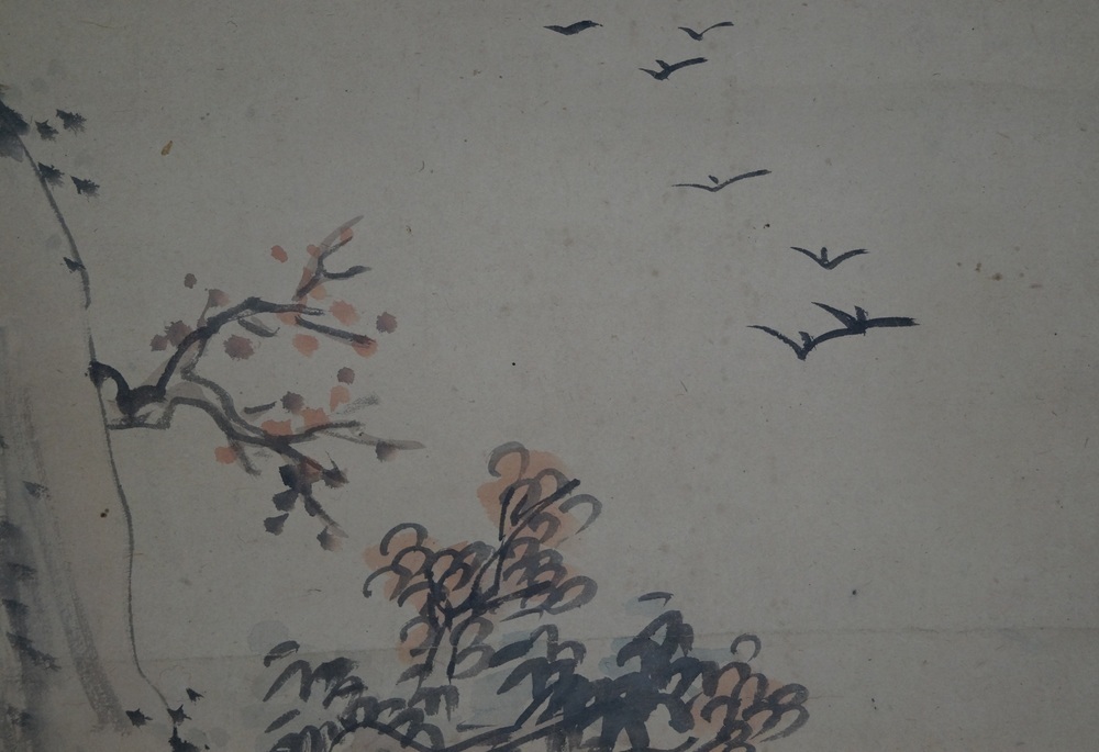 Knorriger Baum am Felsen Rollbild Voegel-Motiv Nahaufnahme