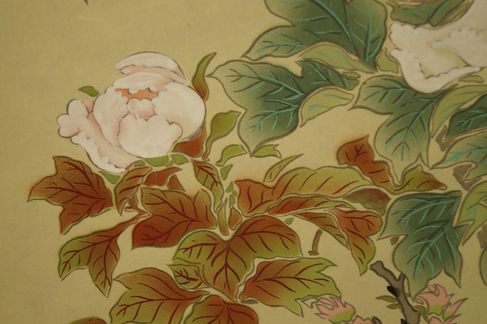 Peonies Peonies Close-Up 3