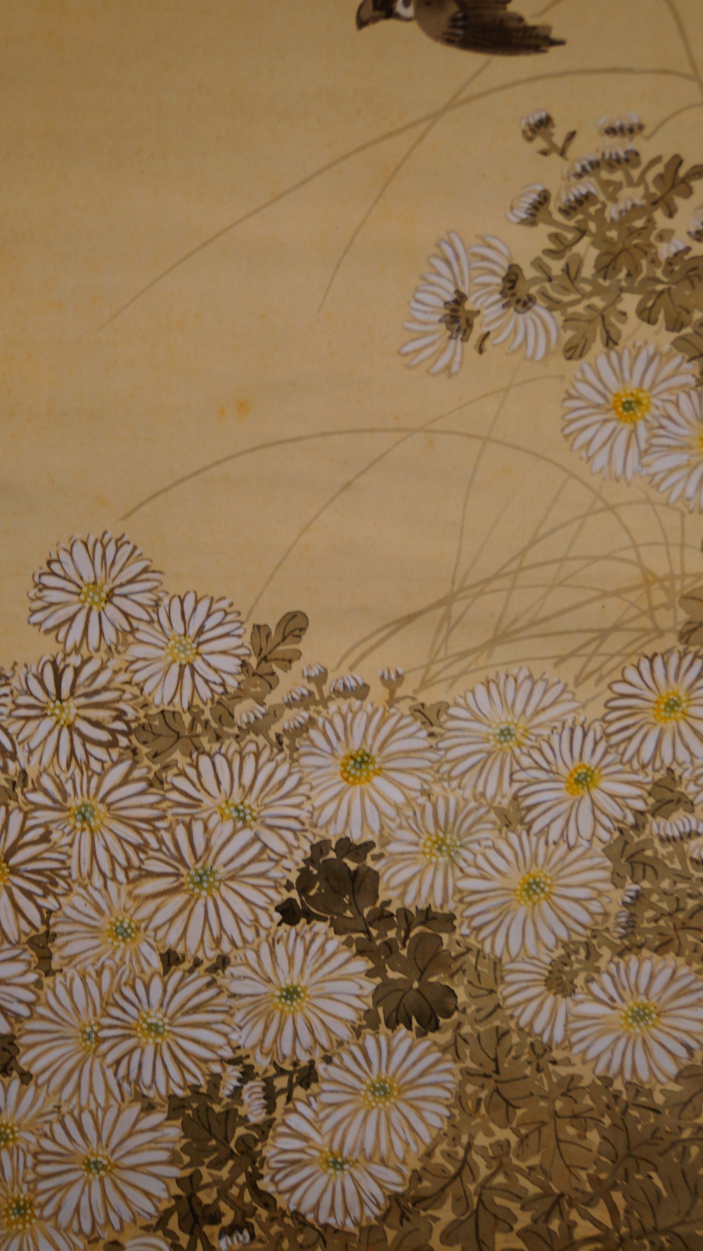 Sparrows over Chrysanthemums Hanging Scroll by Fukui Kotei Chrysanthemum Motif Close-Up