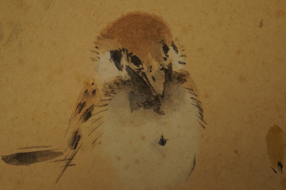 Shikishi Zwei Spatzen Spatz-Motiv Nahaufnahme 3
