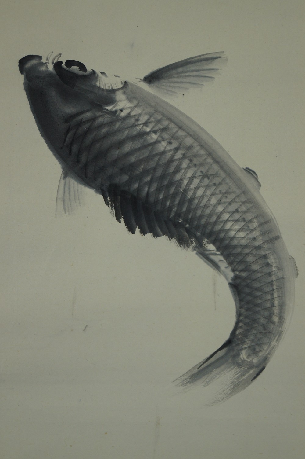Hanging Scroll Leaping Koi Koi Motif Close-Up